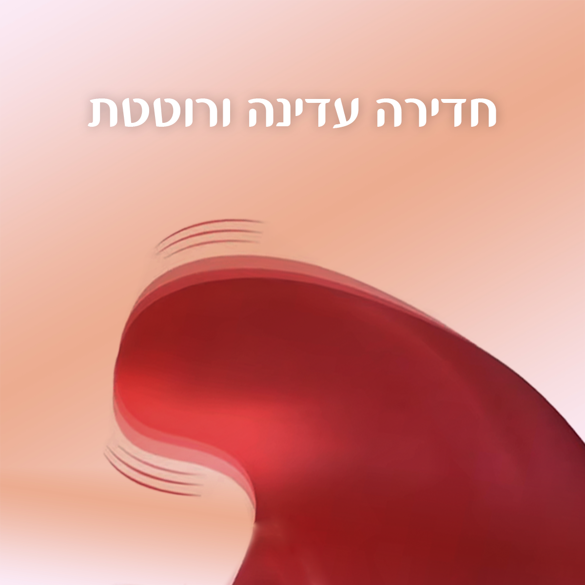 מלודי - רוטט לדגדגן