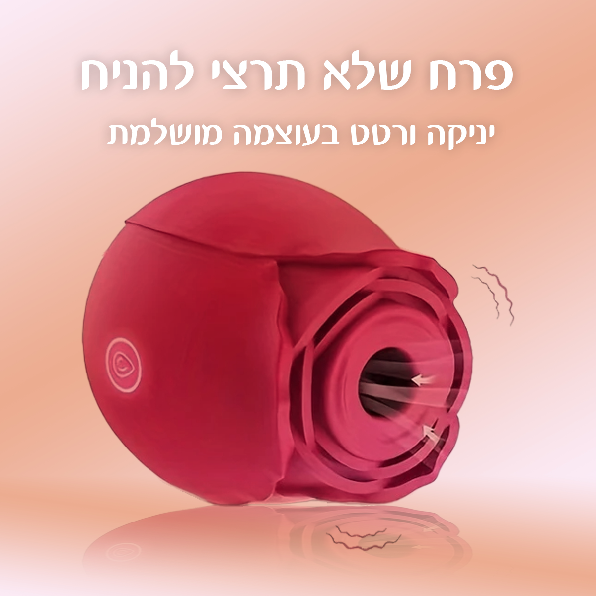 בליס - ורד עדין יונק