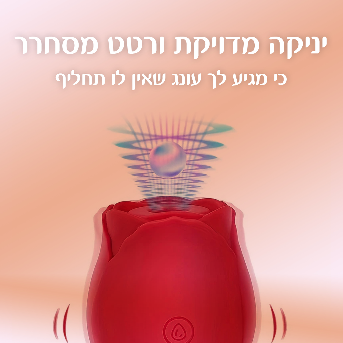 בליס - ורד עדין יונק