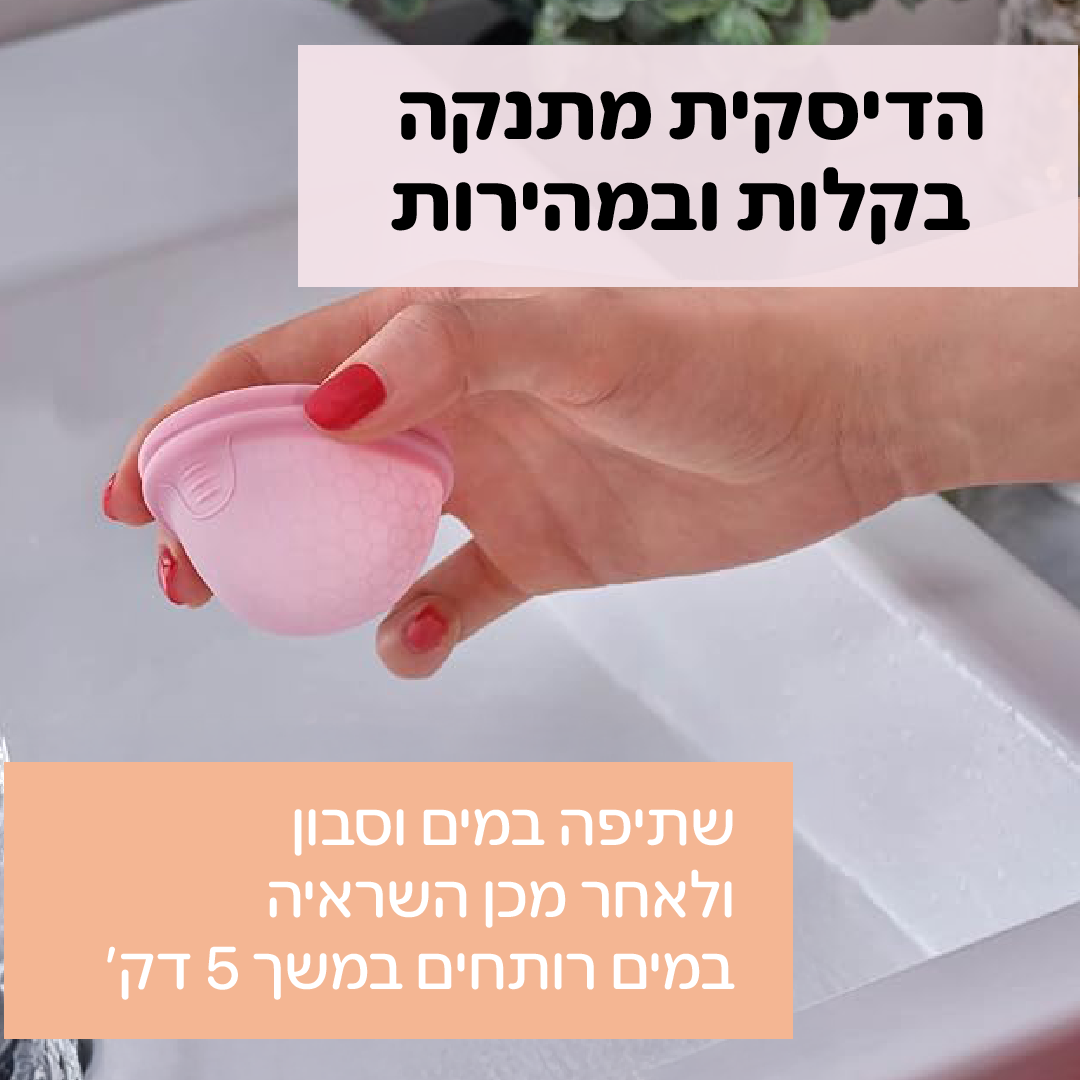 דיסקיות לווסת - אריזה של 2